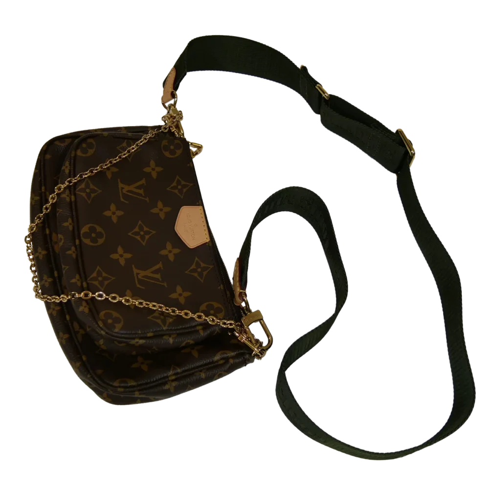 Louis Vuitton multi pochette